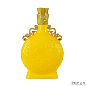 (x)PI(xin)53u500ml