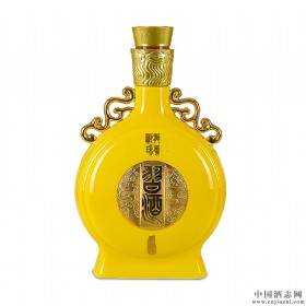 (x)PI(xin)53u500ml