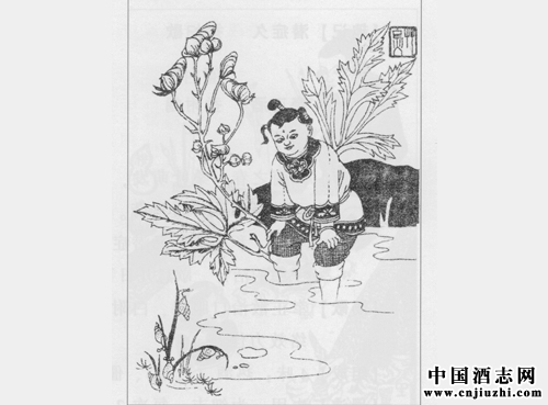疏散外風(fēng)劑:小活絡(luò)丹