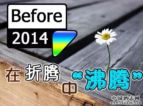 ٻ2014vСv