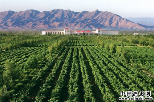 寧夏首批酒莊葡萄酒實現(xiàn)出口