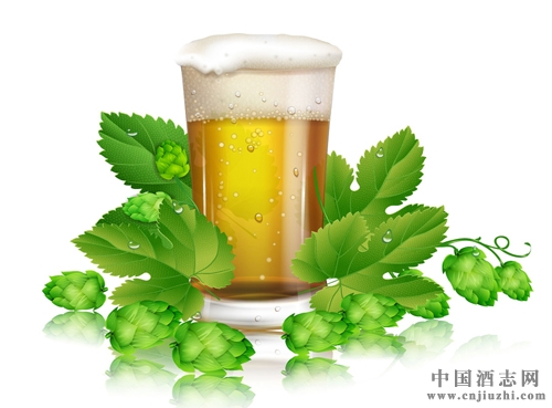ơƻơ֮gʲô(lin)ϵ