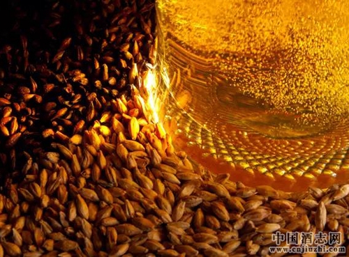啤酒麥芽汁濃度是什么意思?