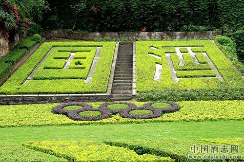 茅臺(tái)袁仁國:打造“綠色茅臺(tái)” 堅(jiān)持“以酒惠民”